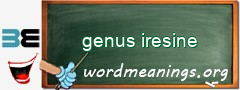 WordMeaning blackboard for genus iresine